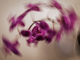 Pflanzen und Blumen